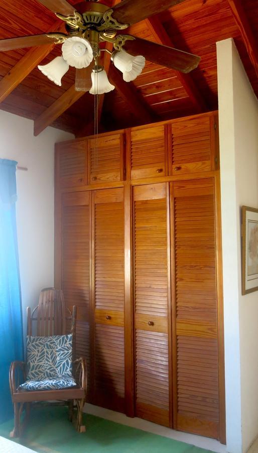 Gemini House Bed & Breakfast Κράιστ Τσερτς Εξωτερικό φωτογραφία