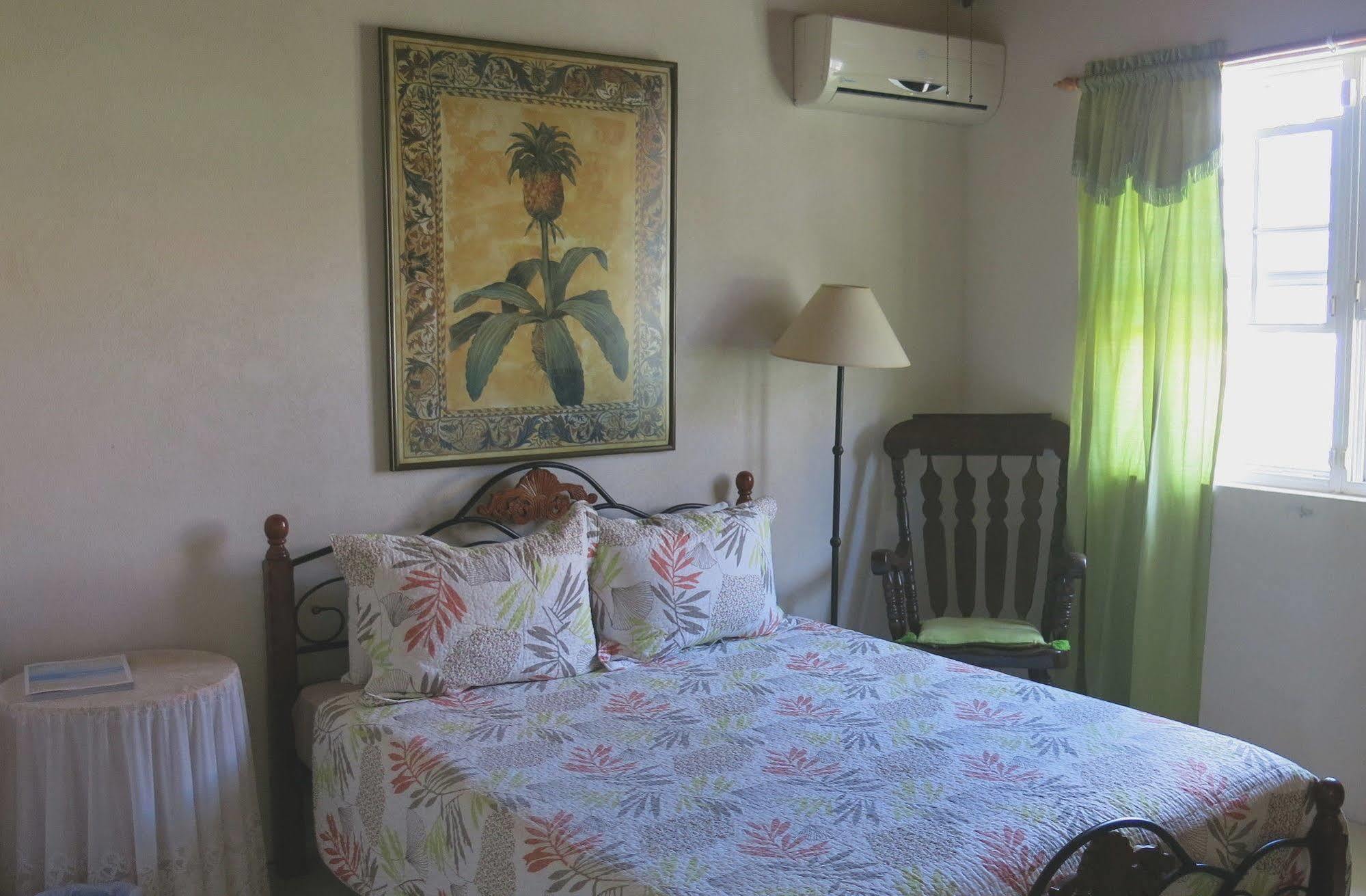 Gemini House Bed & Breakfast Κράιστ Τσερτς Εξωτερικό φωτογραφία